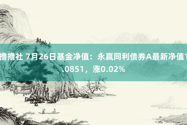 撸撸社 7月26日基金净值：永赢同利债券A最新净值1.0851，涨0.02%