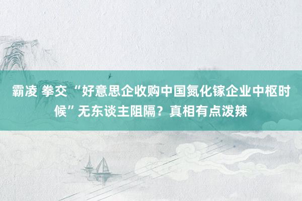 霸凌 拳交 “好意思企收购中国氮化镓企业中枢时候”无东谈主阻隔？真相有点泼辣