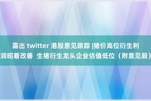 露出 twitter 港股意见跟踪 |猪价高位衍生利润昭着改善  生猪衍生龙头企业估值低位（附意见股）