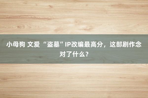 小母狗 文爱 “盗墓”IP改编最高分，这部剧作念对了什么？